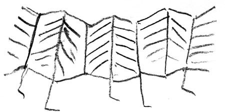Leporello Sketch