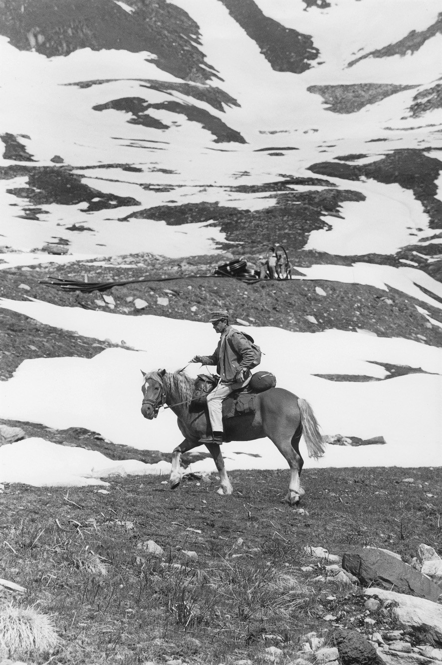 hafis-cheval.jpg